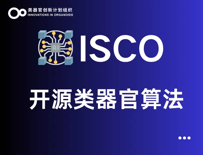 ISCO开源类器官算法