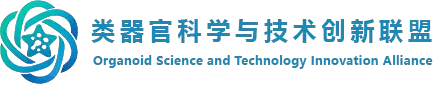 类器官科学与技术创新联盟